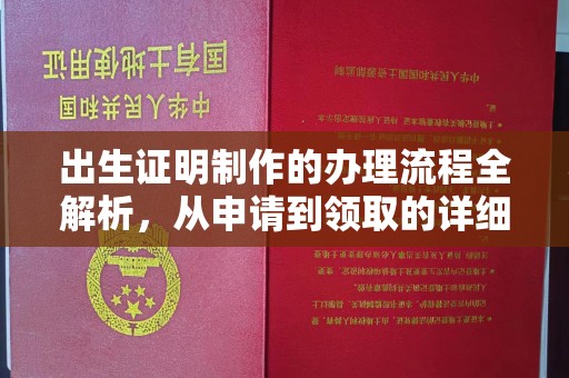 东方出生证明制作的办理流程全解析，从申请到领取的详细指南