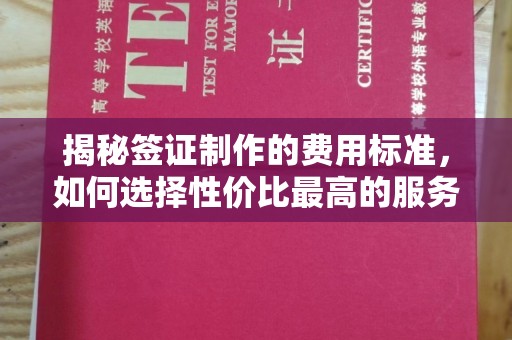 东方揭秘签证制作的费用标准，如何选择性价比最高的服务？