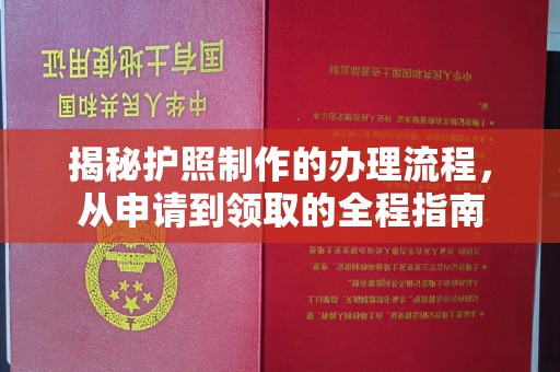 东方揭秘护照制作的办理流程，从申请到领取的全程指南