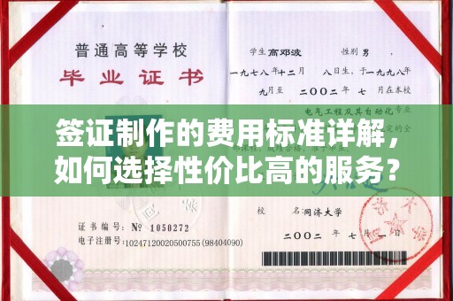 东方签证制作的费用标准详解，如何选择性价比高的服务？