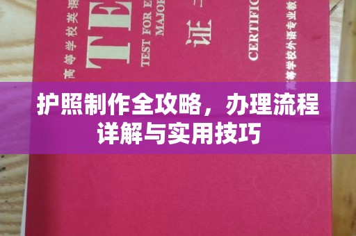东方护照制作全攻略，办理流程详解与实用技巧