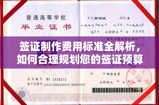 东方签证制作费用标准全解析，如何合理规划您的签证预算？
