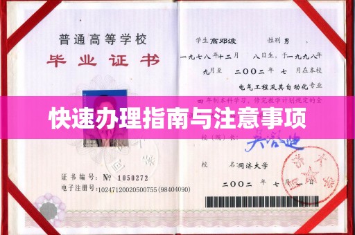 东方快速办理指南与注意事项